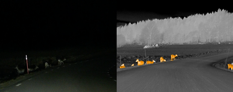 Illustration for article titled Why Nightvision In Cars Isn't Totally Useless